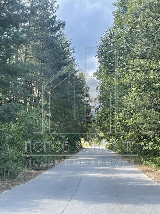 УПИ 703.4 кв.м, Цигов чарк