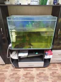 Продам аквариум с рыбками и фильтром