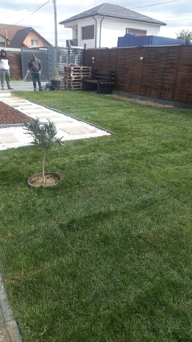 Piatra naturala de munte și Gazon rulou natural