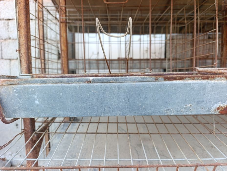 Tovuq katak 47 katak xar biriga 2 tadan tovuq sigadi tuxumi qoyadigon