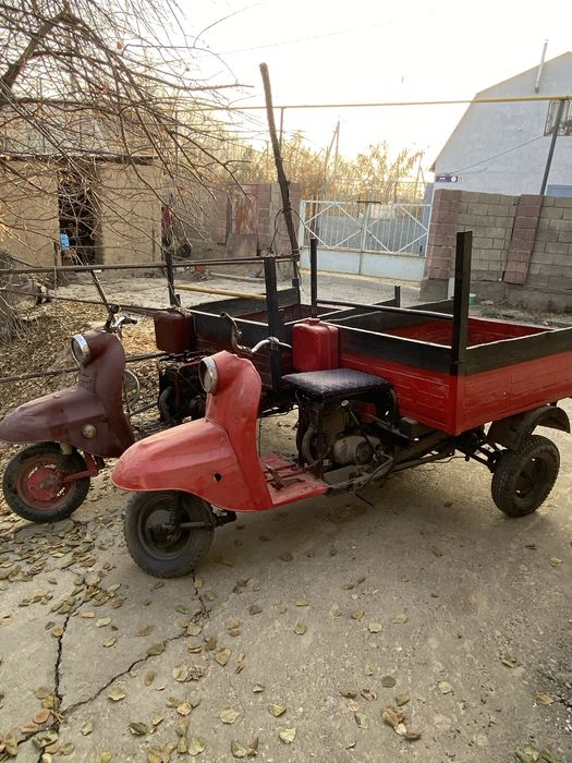 Продам два муровея