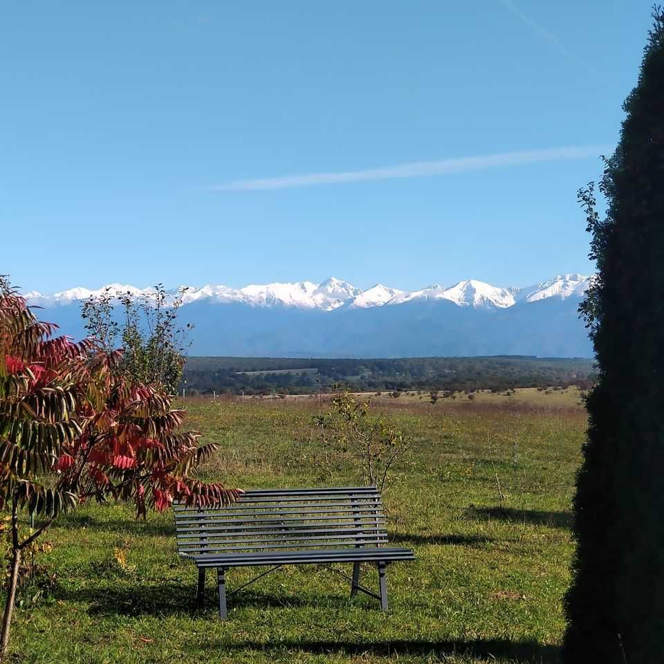 Teren  zona Dealul Bungardului, Selimbar - Sibiu, extravilan