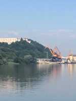 Vand padure la Dunare, Km. 450, Zimnicea, agrement, pescuit