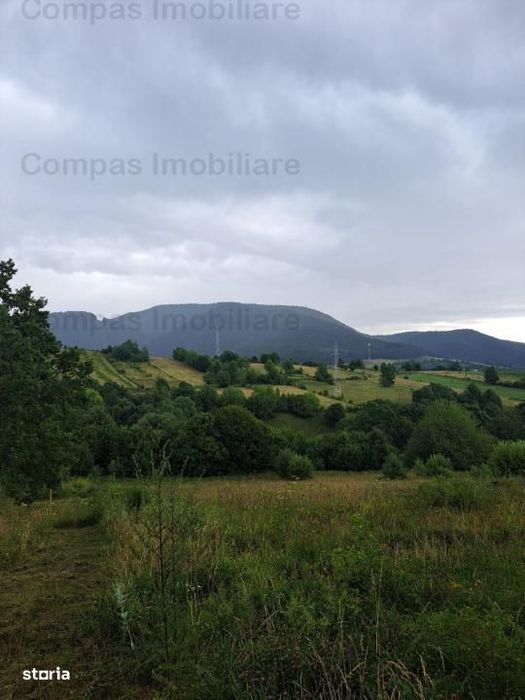 Teren Excepțional în Viisoara – Priveliște Panoramică