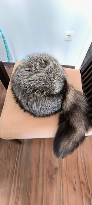 Căciulă blana vulpe argintie