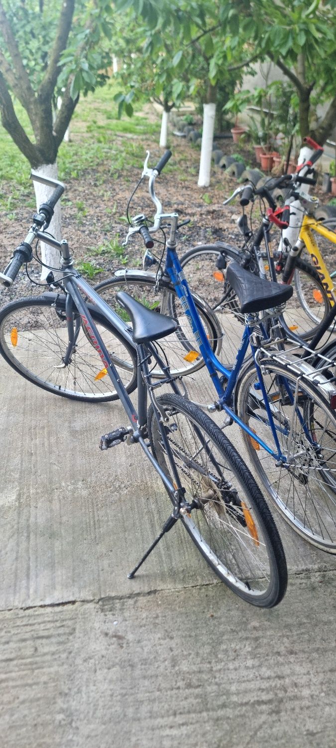Vand diferite biciclete