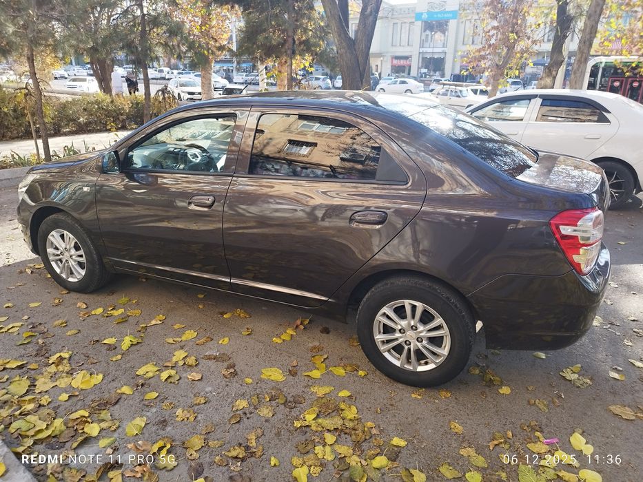 2021 краска тозза