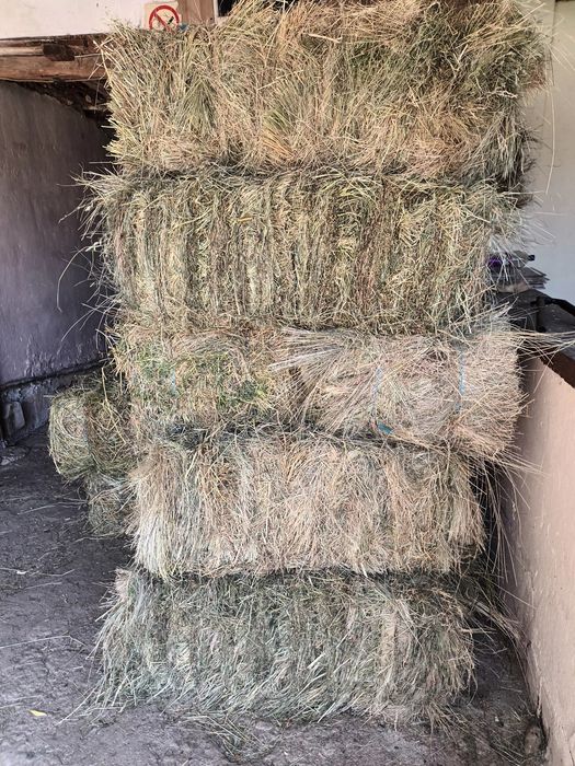 Vând Baloți de fân