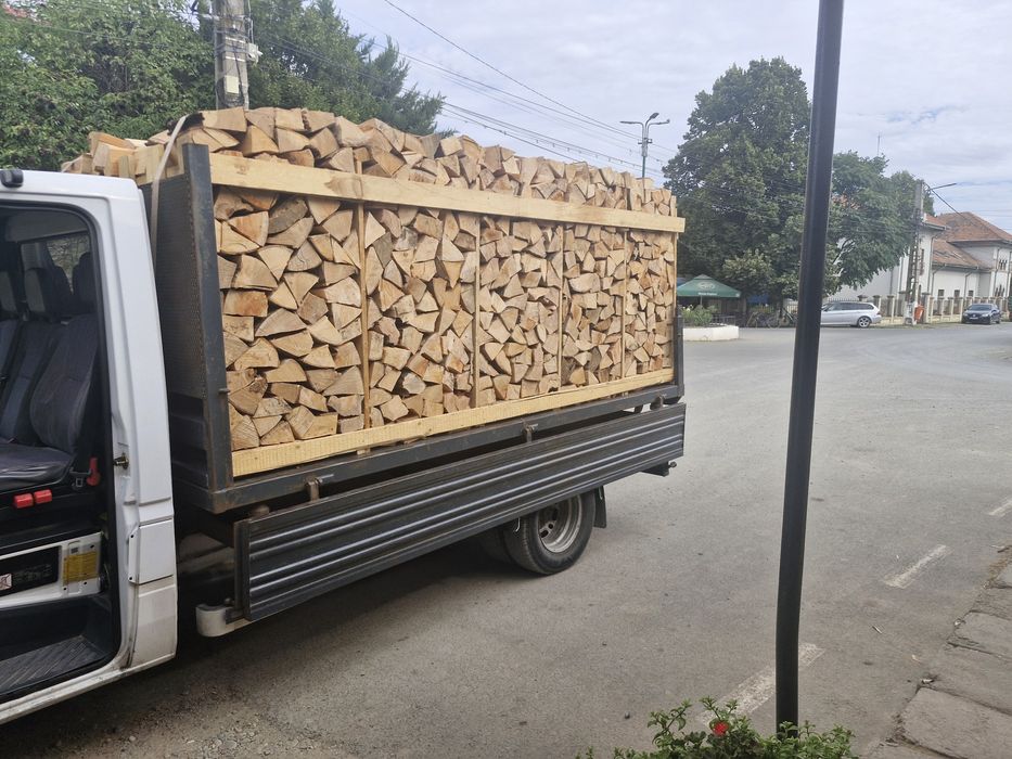 Lemne de foc la palet Esență tare fag stejar
