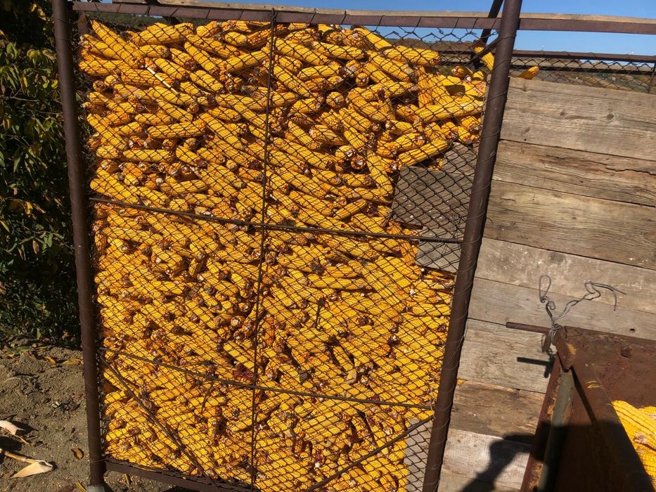 Malai-an 2025,pret 0,90