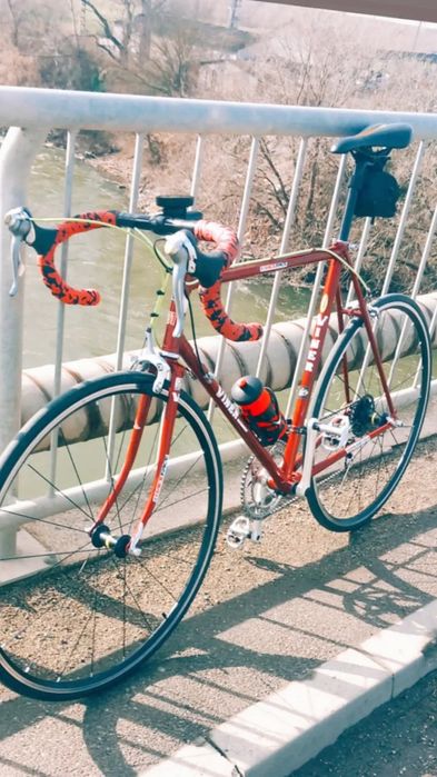 Cursiera viner columbus