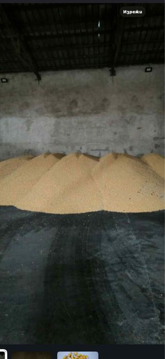 Царевица и жито за животни