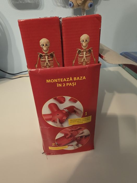 Colectia corpul uman Libertatea 1-46