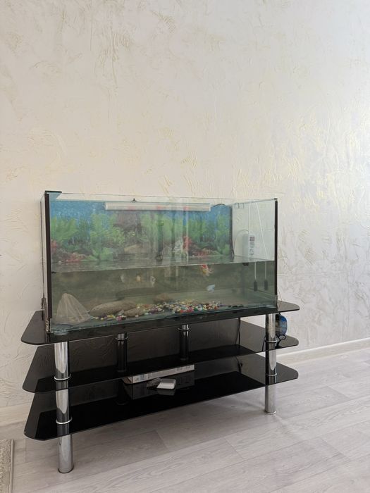 Аквариум және балықтар сатылады!