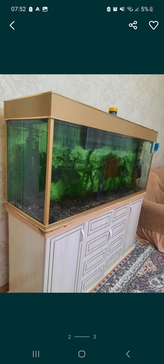 Срочно продается аквариум с подставкой + украшения, фильтр...