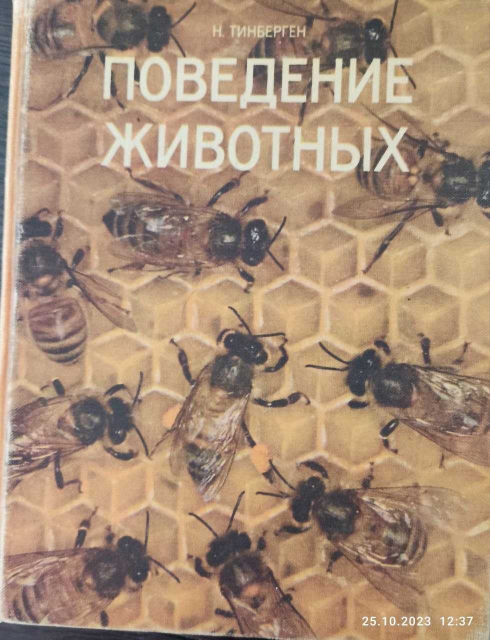 Книги. Энциклопедии. Мир животных.