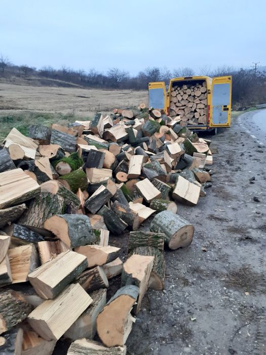 Aduc lemne pentru foc