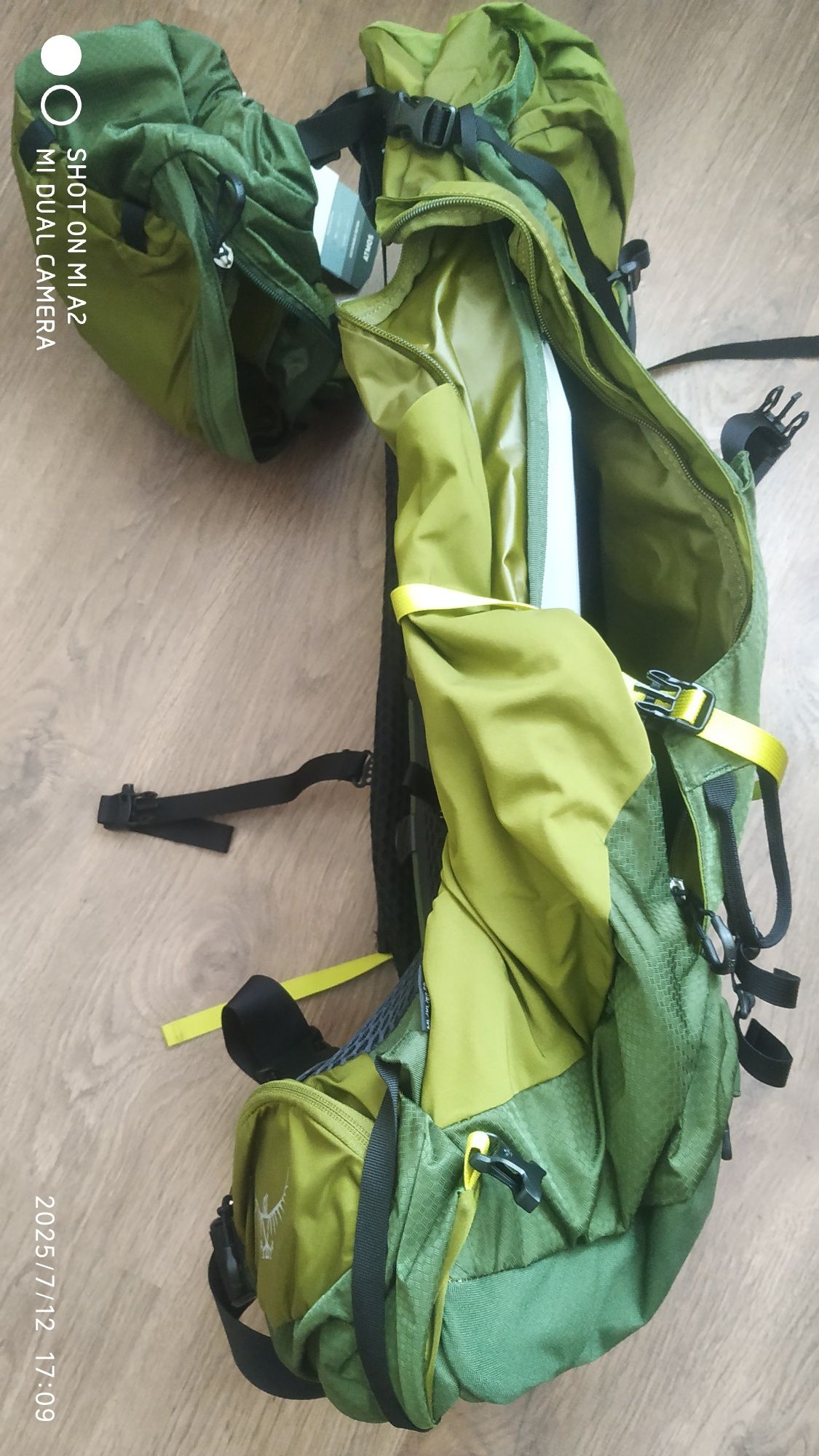Osprey Atmos AG LT 50 Scenic Valley /Green Peppercorn L/XL