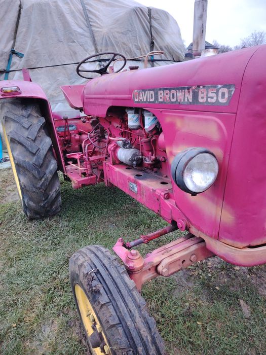 Tractor Darwin brawn