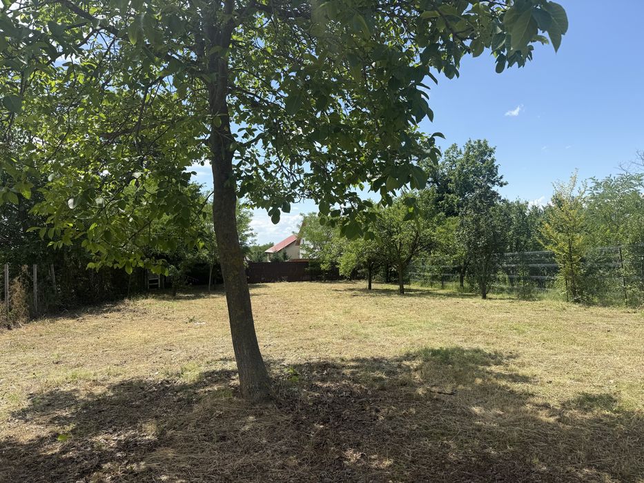 teren 1200 m Paulesti/Cocosesti cu strada privata