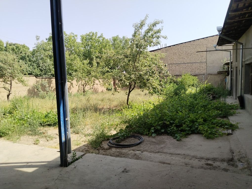 Toshkent tumani Oltin tepa maxallasida 8,9 sotixli uy sotiladi