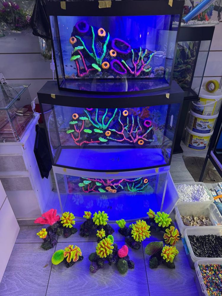 Akvarium oldi aval