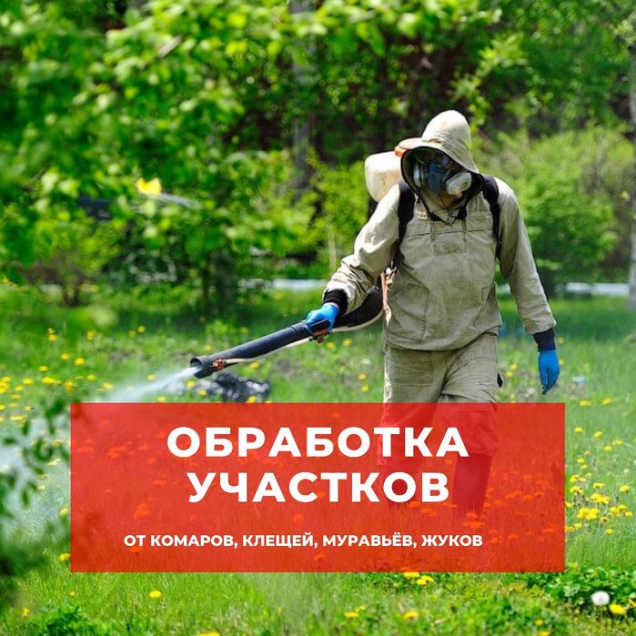 Обработка участков, дач, баз | Дезинфекция, дезинсекция