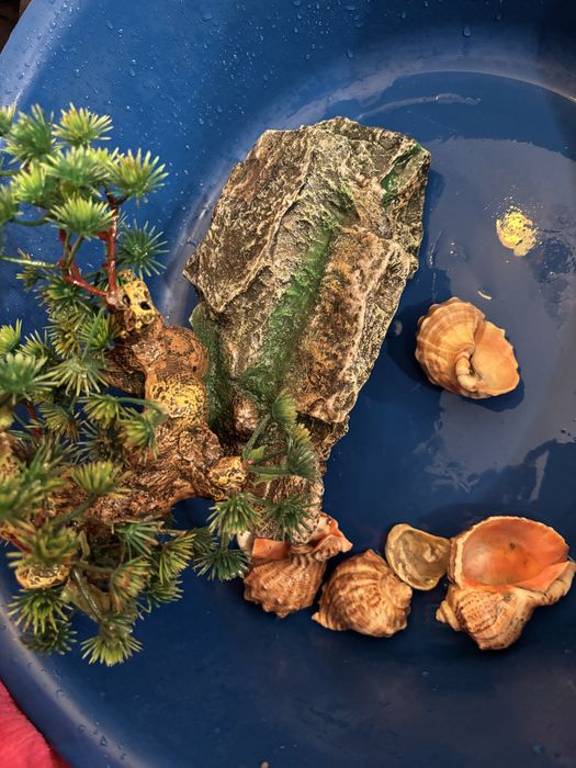 Acvariu pesti/ broaste testoase