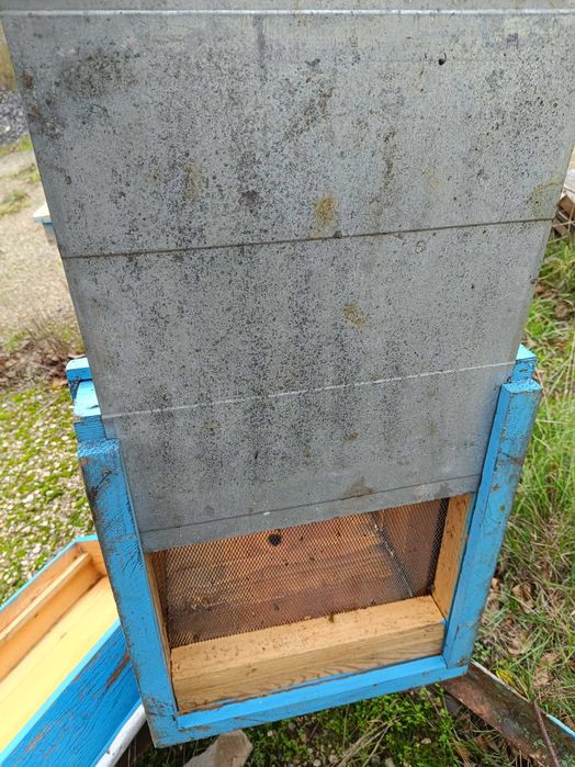 Пчелни кошери с магазини