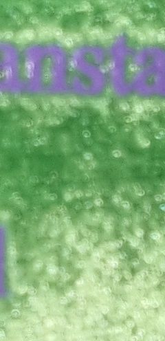 Catel interactiv care spune povesti lb engleza