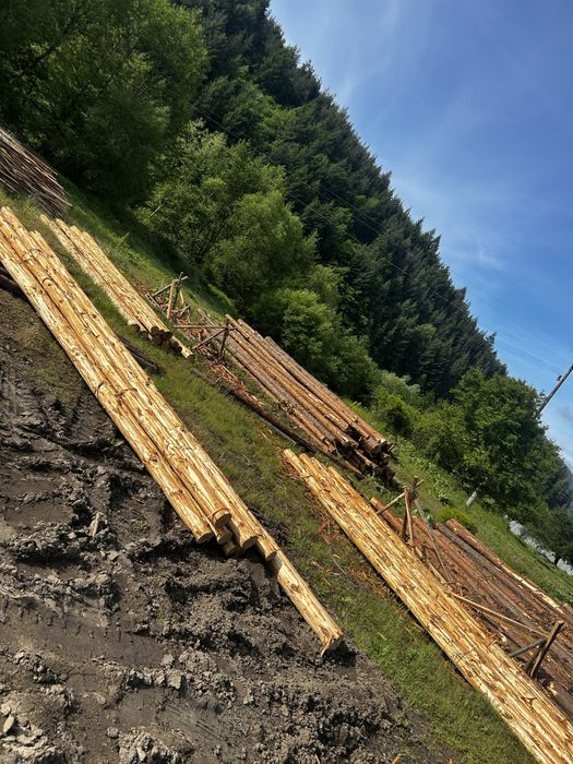 Иглолистен дървен материал