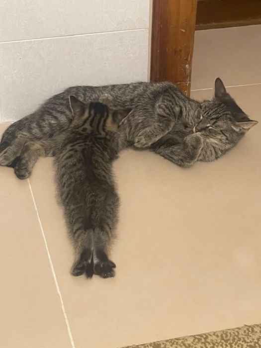 Мама с сыночком ищут новую заботливую семью!