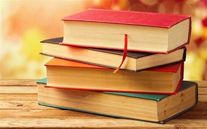 Meditatii Limba și literatura romana-58 lei