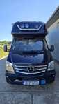 Mercedes Benz 319 Sprinter Blue TEC 2015