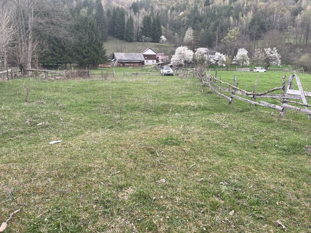 Teren de vânzare