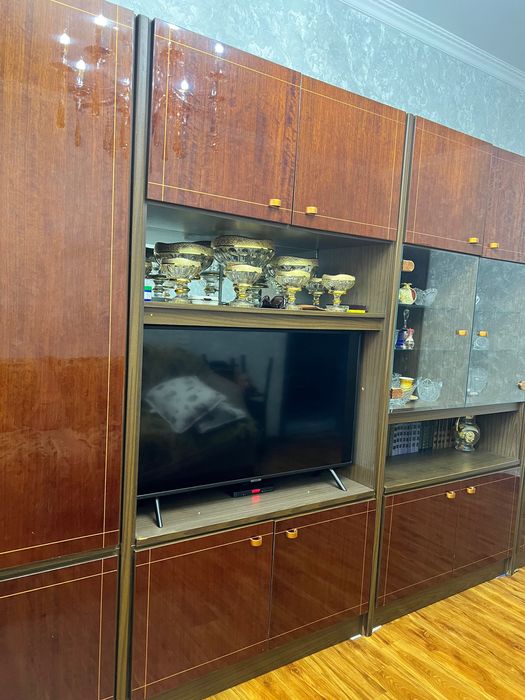 Стенка в зал Германская