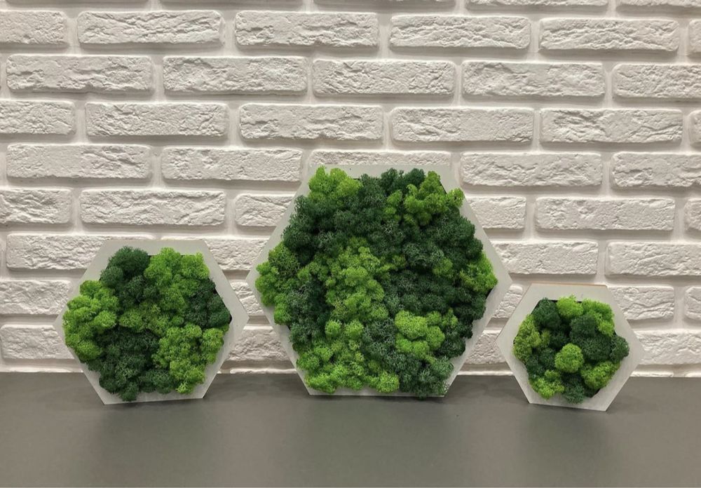 Часовници със скандинавски мъх