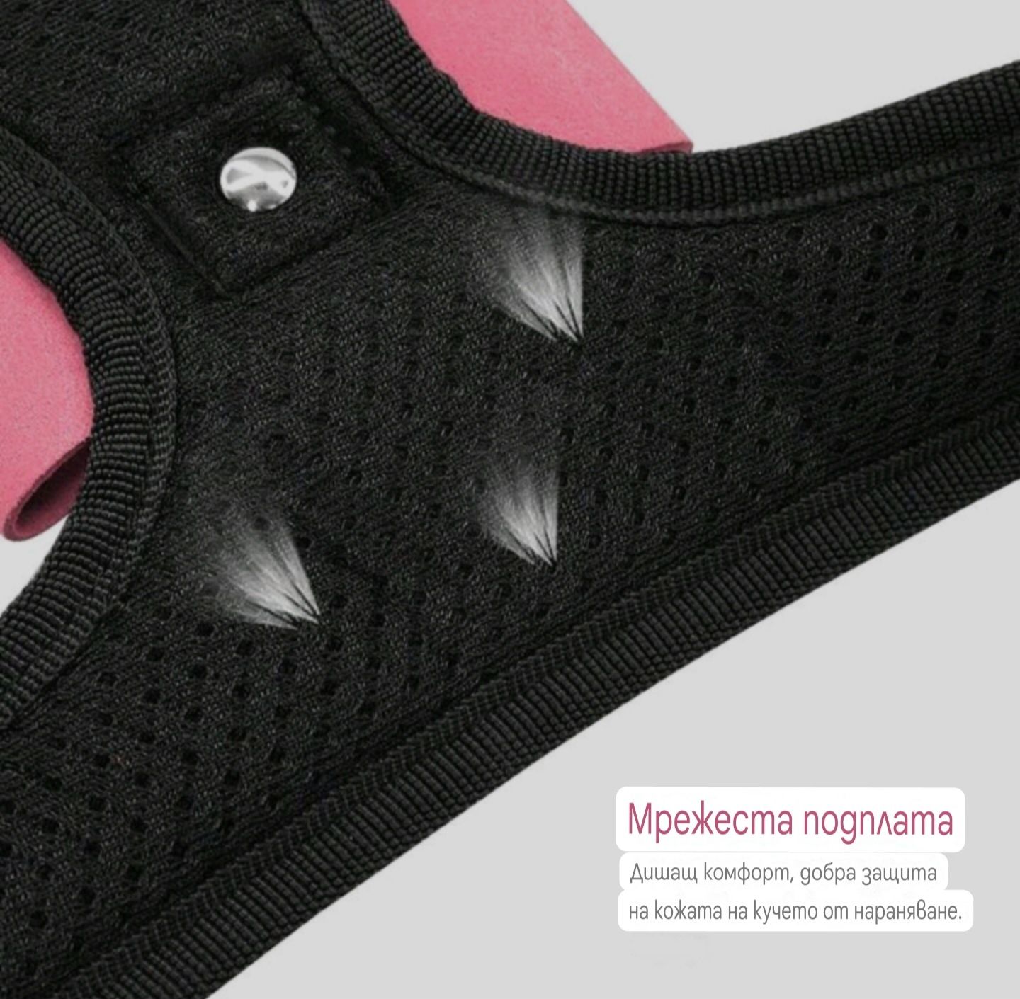 Луксозен кучешки нагръдник с камъни и панделка
