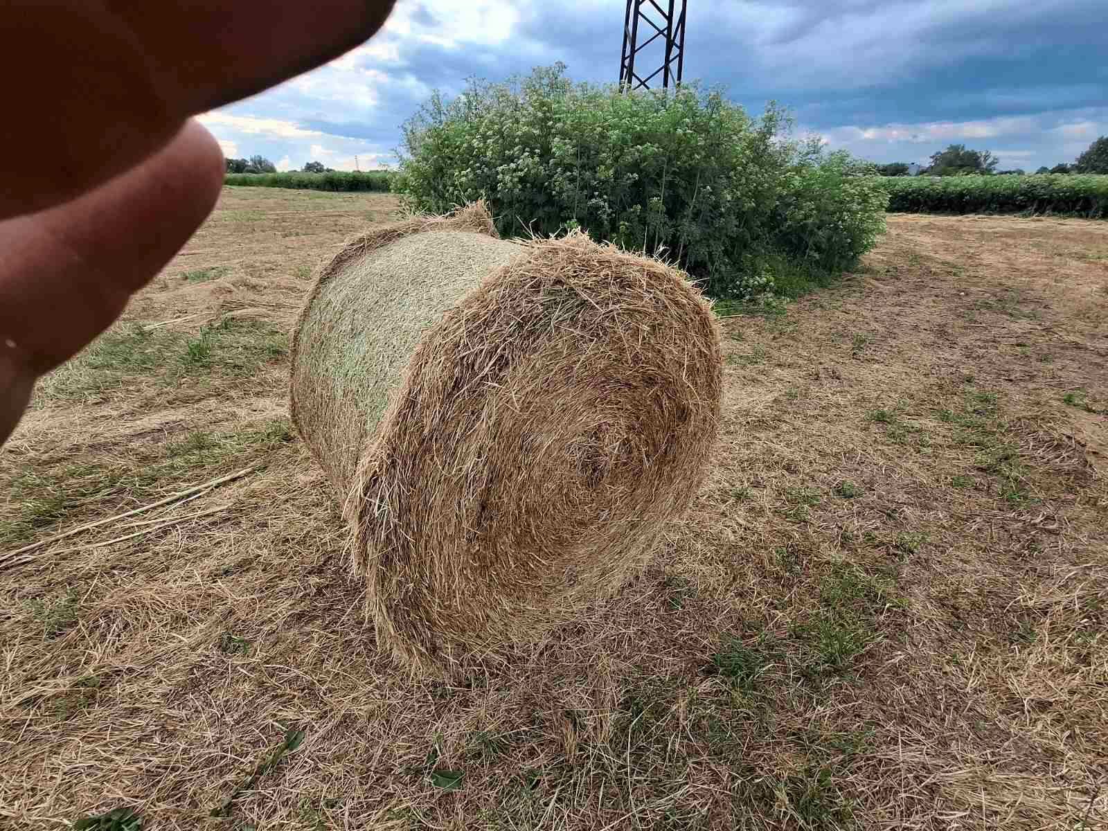 Рулонни бали сено