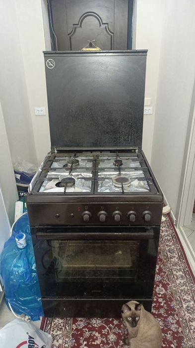 Germaniski gazpilita srochni sotiladi