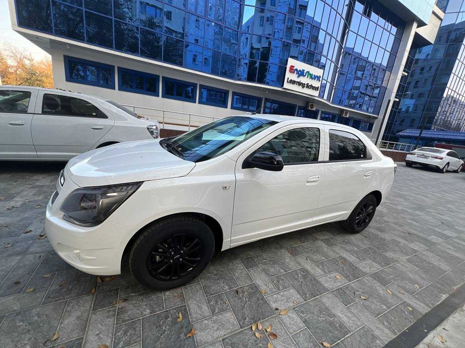 Cobalt 2026 Midnight