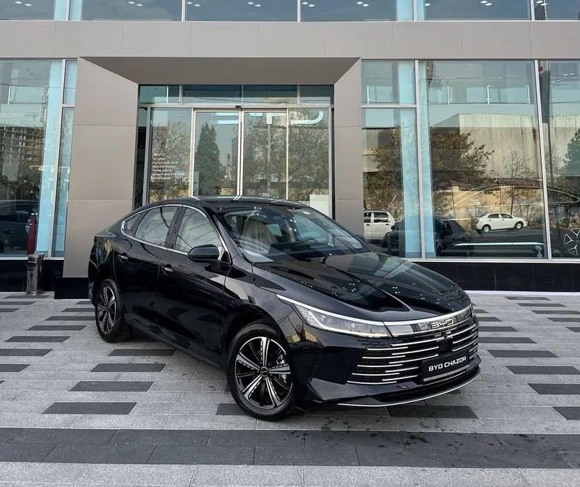 Byd Chazor luxe naxt va nasiyaga