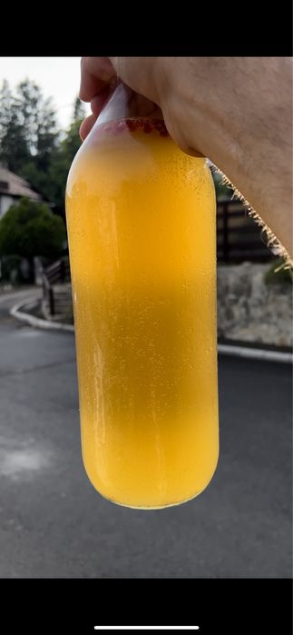 Probiotice Kombucha, Kefir de Apă și de Lapte de Capră Fermentat