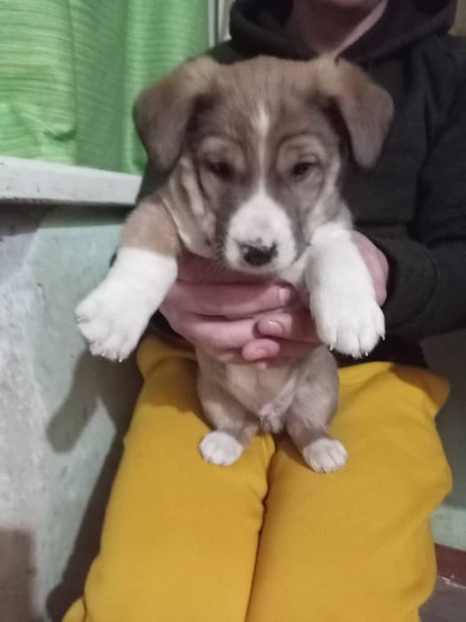 В самые самые добрые ручки