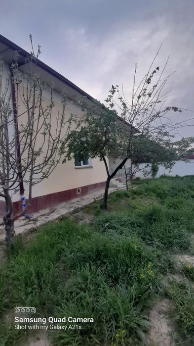 Tez kunda xovli sotuladi