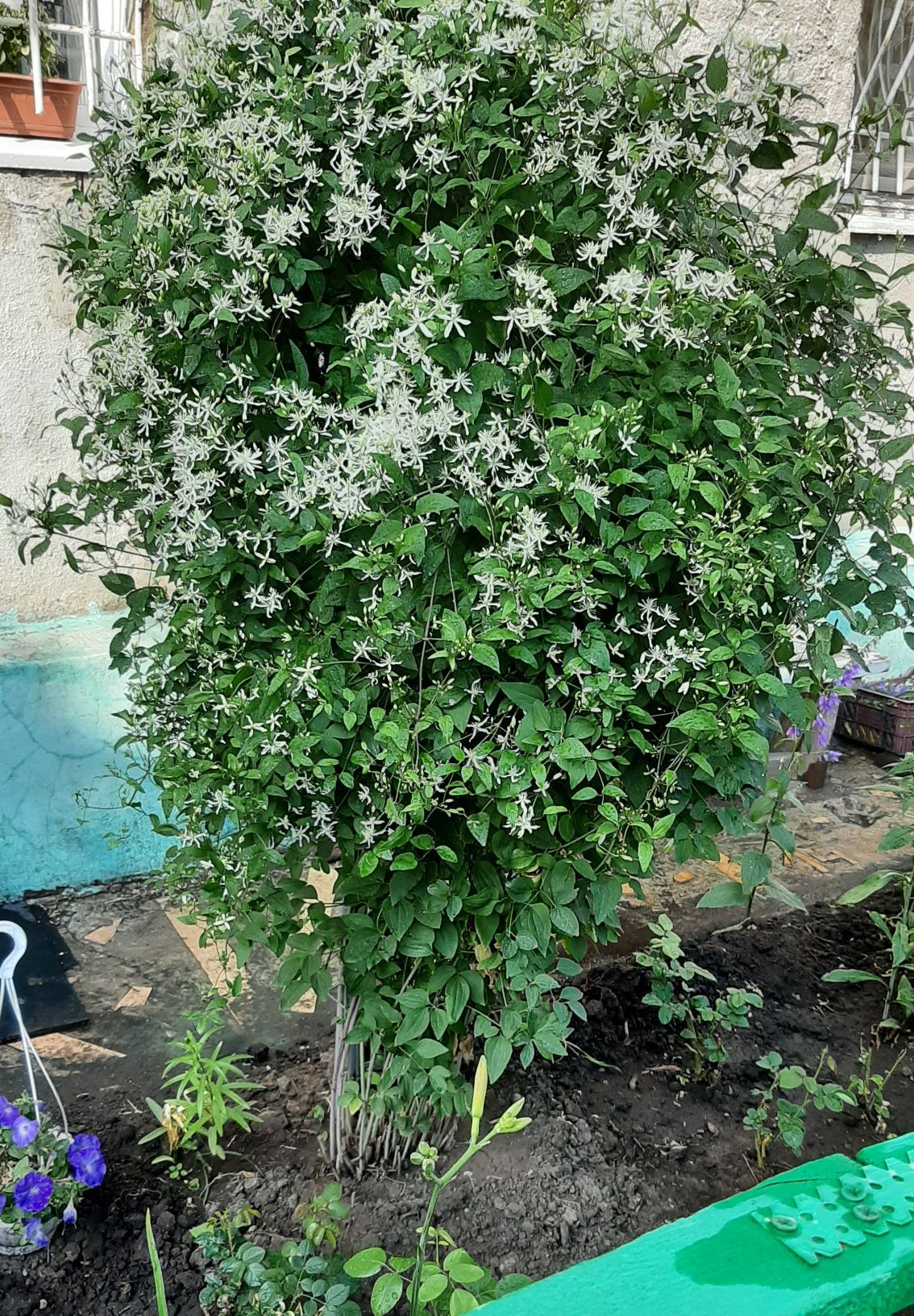 Продам квартиру 2 комнатную .53 кв.м