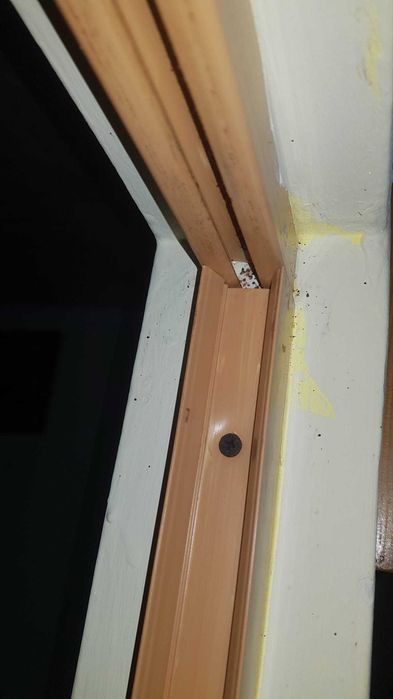 Scapă de plosnite, gândaci, șobolani, bacterii! DDD