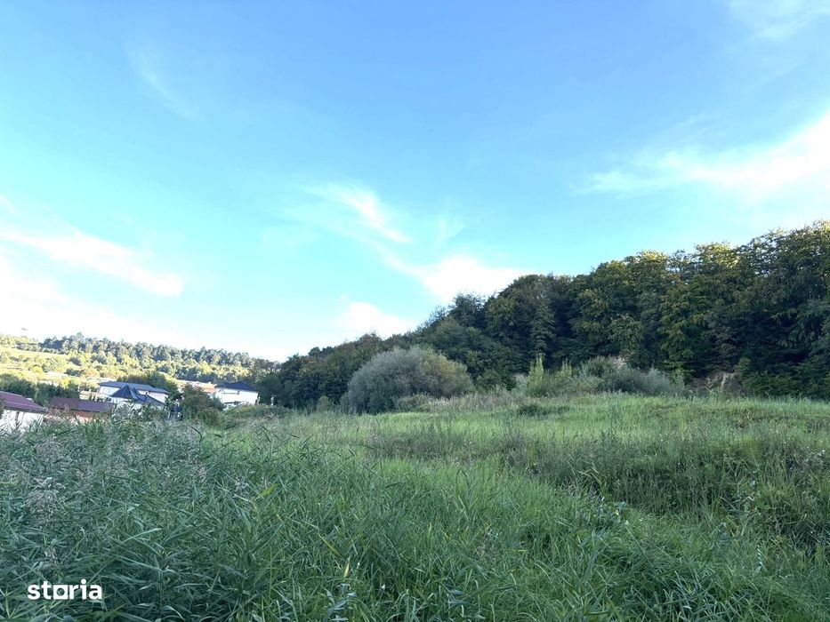 Teren str Dianei/Faget