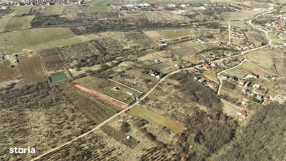 Reco Teren Intravilan In Paleu