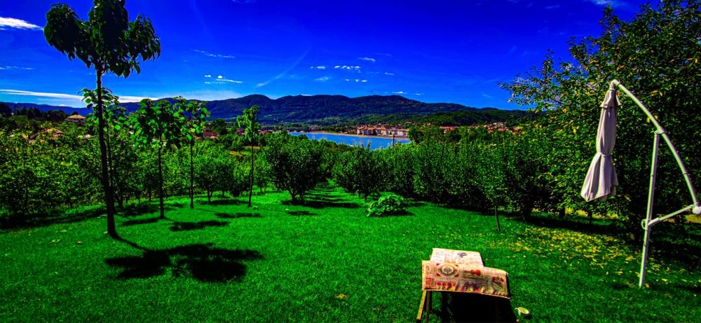 Revelion 2026 / Craciun  Vila Upforest Calimanesti Caciulata